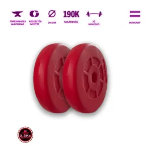 2,5 kg GazoFitness súlytárcsa – prémium minőség edzéshez