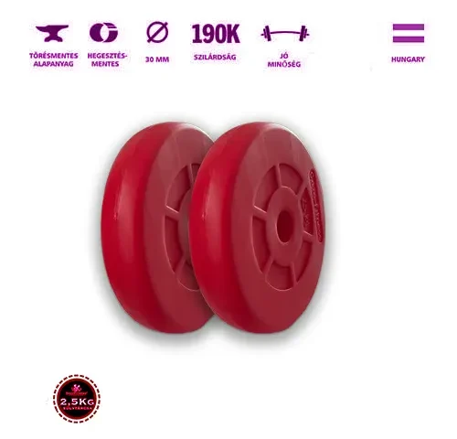 2,5 kg GazoFitness súlytárcsa – prémium minőség edzéshez
